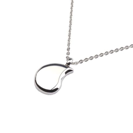 Symboliek bij assieraden de traan 1